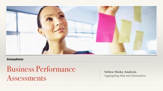 Maximizing the Value of Business Performance Assessments Series