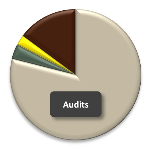 Large Firm Internal Audit Co-sourcing