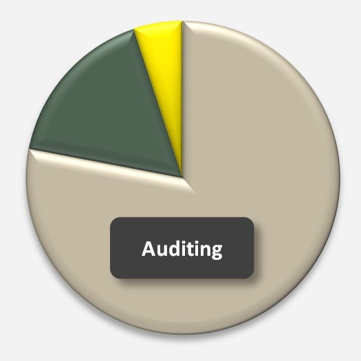 Large Firm Internal Audit Co-sourcing