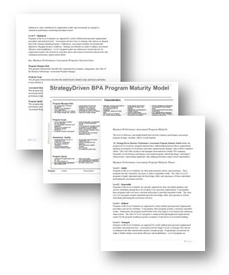 Sevian Business Programs - Program Maturity Models