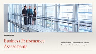 Maximizing the Value of Business Performance Assessments Series