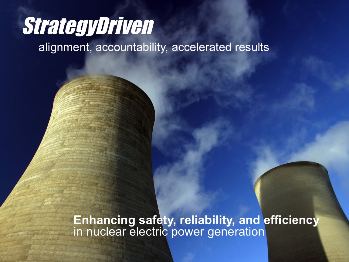 StrategyDriven Nuclear Service Offerings