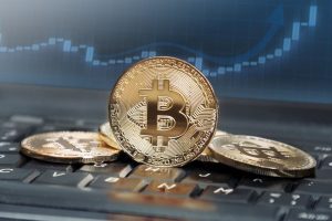 StrategyDriven Practices for Professionals Article |cryptocurrency investor |7 Factors to Consider Before Becoming a Cryptocurrency Investor