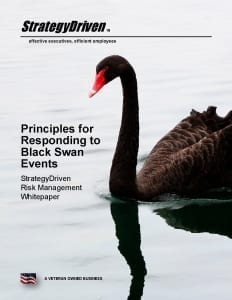 StrategyDriven's Principles for Responding to Black Swan Events