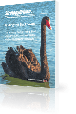 StrategyDriven Risk Management Whitepaper | Finding the Black Swan