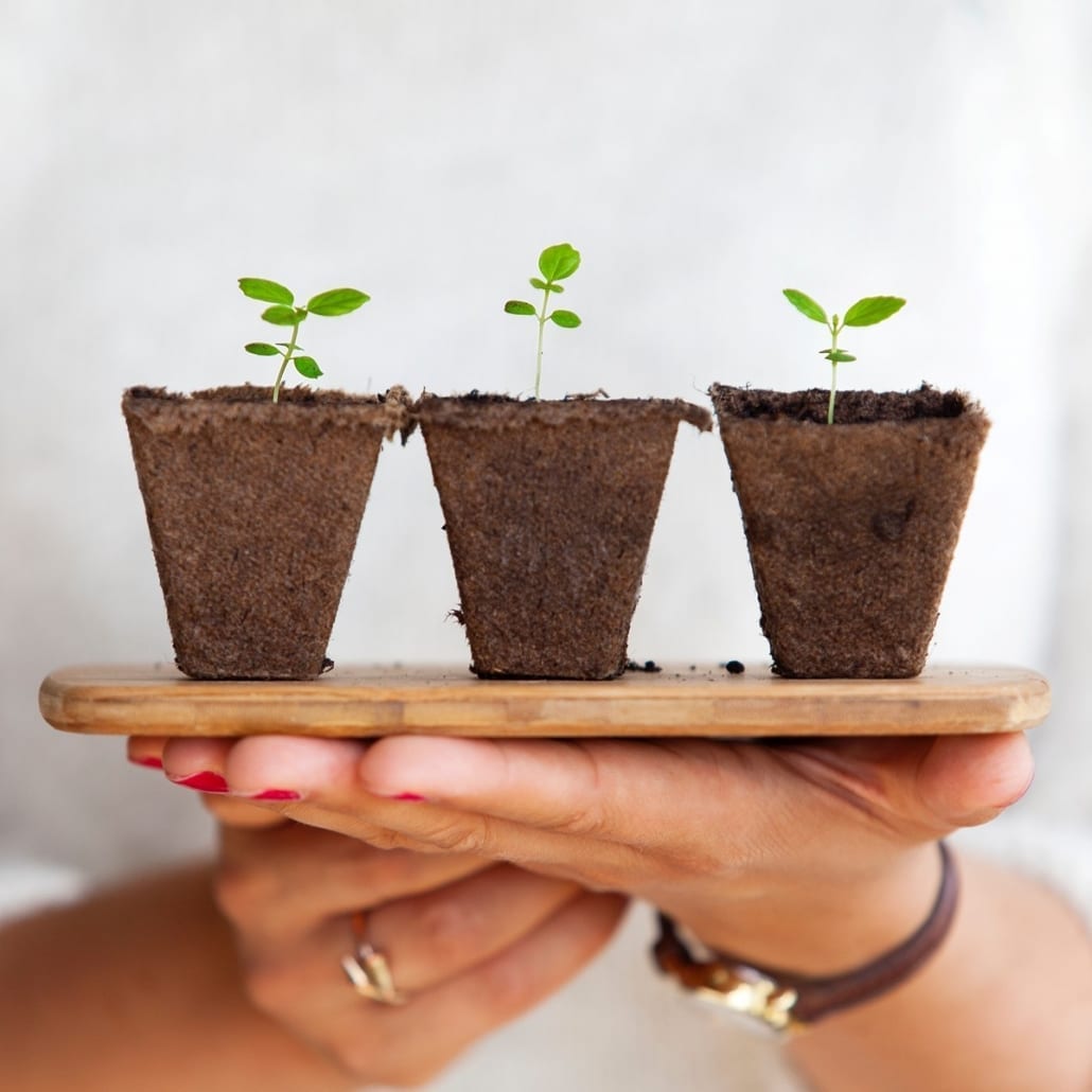  StrategyDriven Entrepreneurship Article