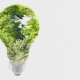 How Your Business Can Become More Sustainable This Year