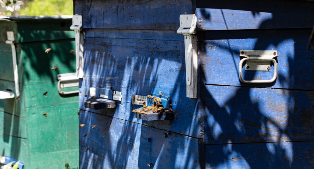 How to Choose the Right Dumpster Rental for Your Commercial Projects | StrategyDriven Managing Your Business Article