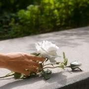 Practical Ways Families Cope After Sudden Loss | StrategyDriven Practices for Professionals Article