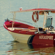 The Importance of Professional Marine Surveying The Importance of Professional Marine Surveying | StrategyDriven Practices for Professionals Article