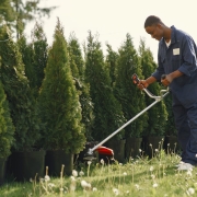 Key Steps to Building a Profitable Landscaping Company Key Steps to Building a Profitable Landscaping Company | StrategyDriven Entrepreneurship Article