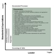 StrategyDriven Corporate Cultures How Work Gets Done Model