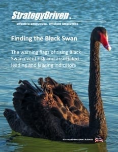 StrategyDriven Risk Management Whitepaper | Finding the Black Swan