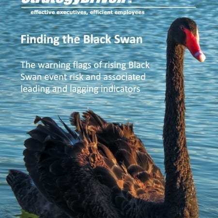 StrategyDriven Risk Management Whitepaper | Finding the Black Swan