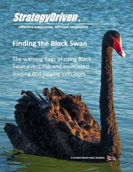 StrategyDriven Risk Management Whitepaper | Finding the Black Swan