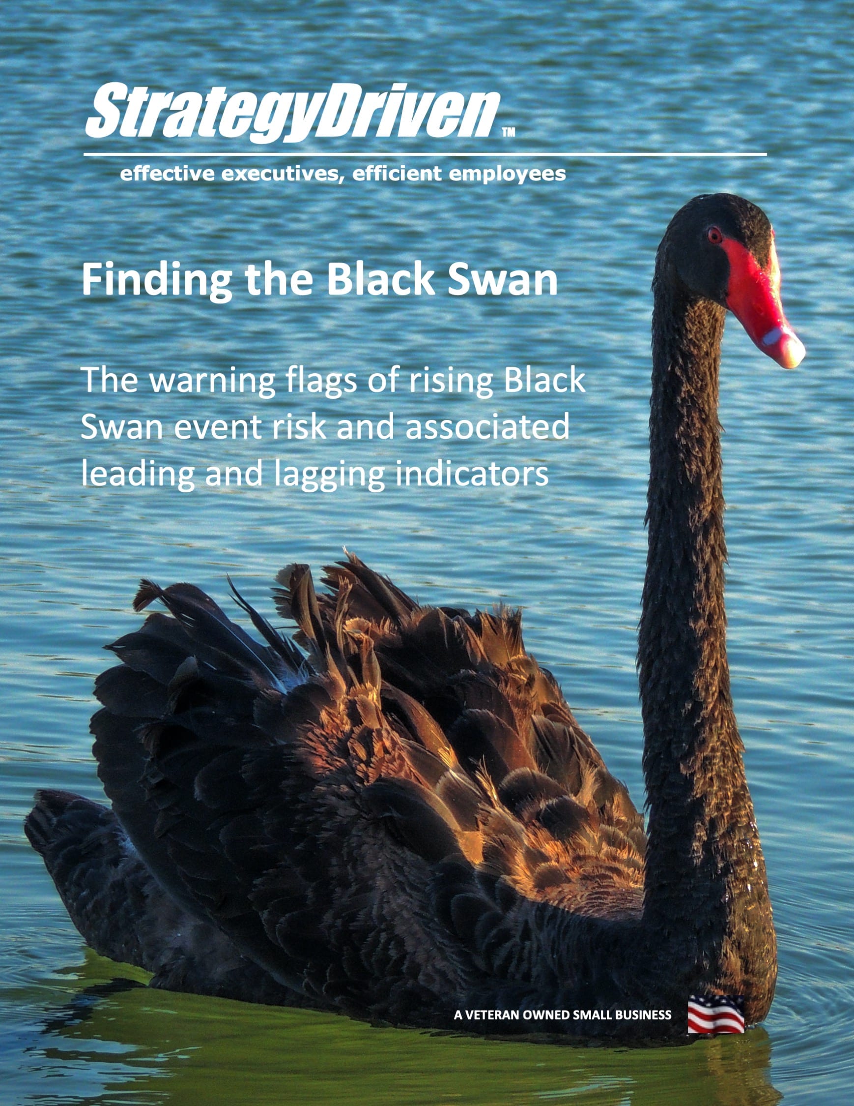 Godkendelse Underholde Alperne Finding the Black Swan - StrategyDriven