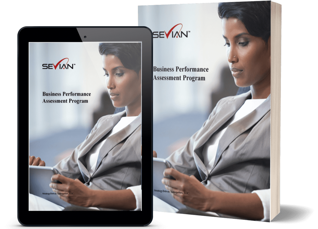 Sevian Business Performance Assessment Program