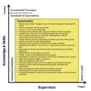 StrategyDriven Corporate Cultures How Work Gets Done Model