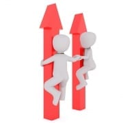 StrategyDriven Professional Development Article |Beat the competition|How To Be A Flamingo Among The Pigeons: Standing Out From The Crowd