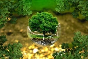 StrategyDriven Entrepreneurship Article |Eco-friendly|Eco-Friendly Business Ideas