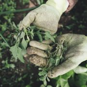 StrategyDriven Managing Your Business Article |Grow your landscaping business|How to Grow Your Landscaping Business