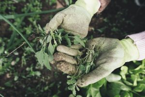 StrategyDriven Managing Your Business Article |Grow your landscaping business|How to Grow Your Landscaping Business