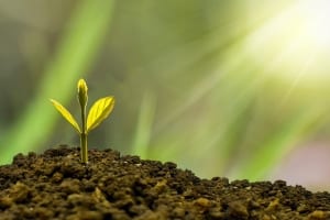 StrategyDriven Managing Your Business Article |Green Business|Are Consumers Putting Pressure on Businesses to Go Green