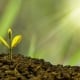 StrategyDriven Managing Your Business Article |Green Business|Are Consumers Putting Pressure on Businesses to Go Green