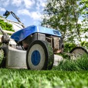 StrategyDriven Entrepreneurship Article |Lawn Care Industry|Innovation In The Gardening And Lawn Care Industry