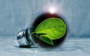 StrategyDriven Managing Your Business Article |Carbon Neutral|Seven steps for a carbon neutral coworking space