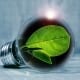 StrategyDriven Managing Your Business Article |Carbon Neutral|Seven steps for a carbon neutral coworking space