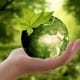 StrategyDriven Managing Your Business Article |Sustainability|Should Your Business Be Thinking About Making Sustainable Choices?