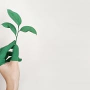 StrategyDriven Managing Your Business Article |Green Credentials|How to Further Your Company’s Green Credentials