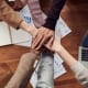StrategyDriven Managing Your People Article |High Performance Team|6 Tips for Building High-Performance Teams