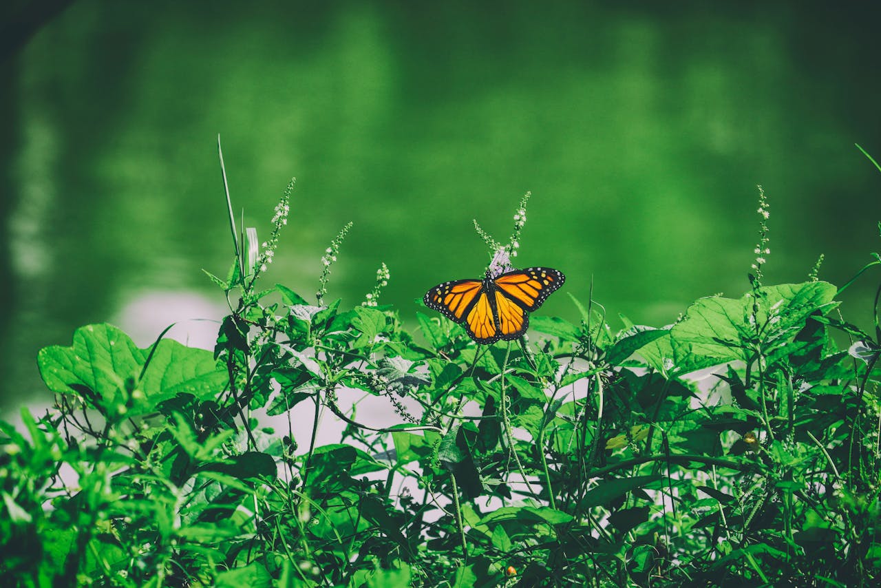 StrategyDriven Change Management Article | How to Prevent Change Saturation from Stalling Your Progress