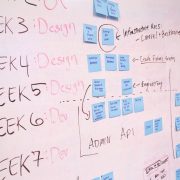 StrategyDriven Project Management Article |Agile Project Management|Agile Project Management: How to Guide for Businesses