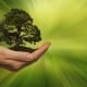 StrategyDriven Managing Your Business Article |Green Business|Why Its Time To Turn Your Business Green