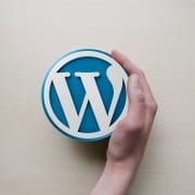 StrategyDriven Online Marketing and Website Development Article |WordPress Theme|Should a Custom WordPress Web Design Be Important to Your Business?